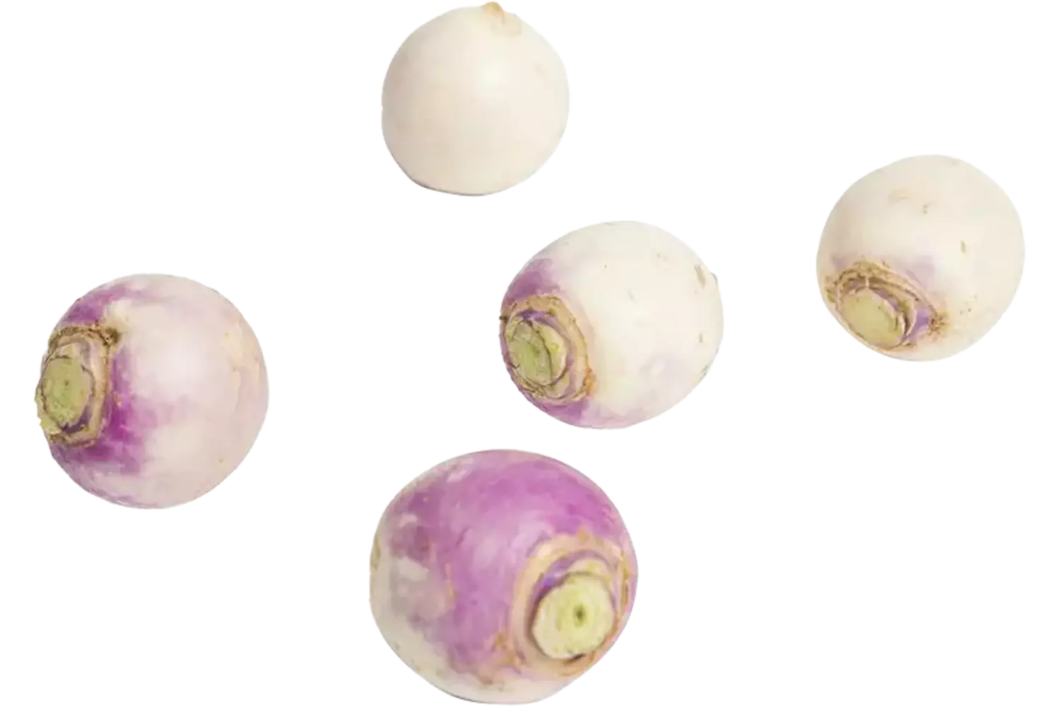 Mini meiknollen 200gr stuk 1